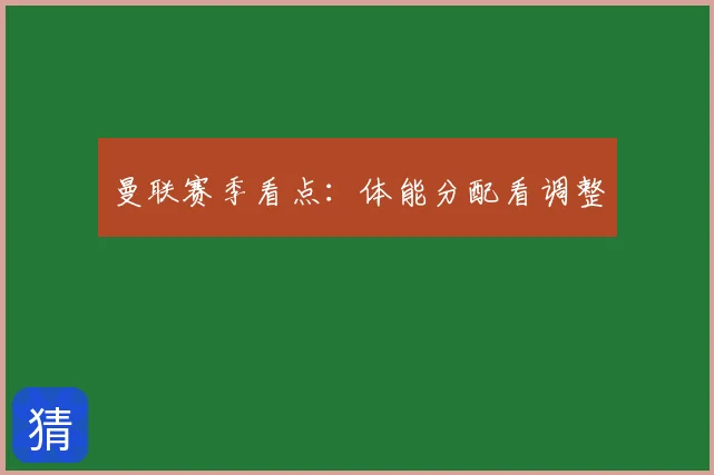 曼联赛季看点：体能分配看调整